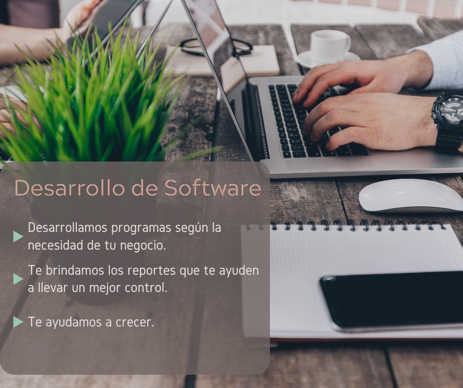 Desarrollo de Software